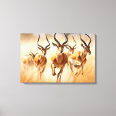 Afrikaanse Impala Canvas Kunst (Voorkant)