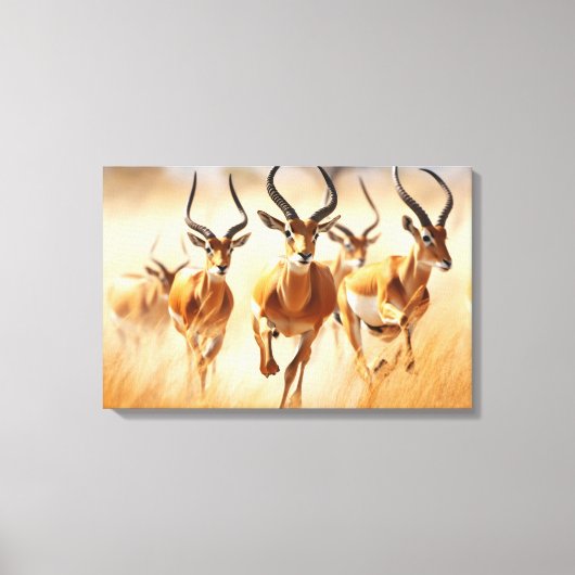Afrikaanse Impala Canvas Kunst (Voorkant)