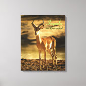 Afrikaanse impala in de rivierbedding canvas afdruk (Voorkant)