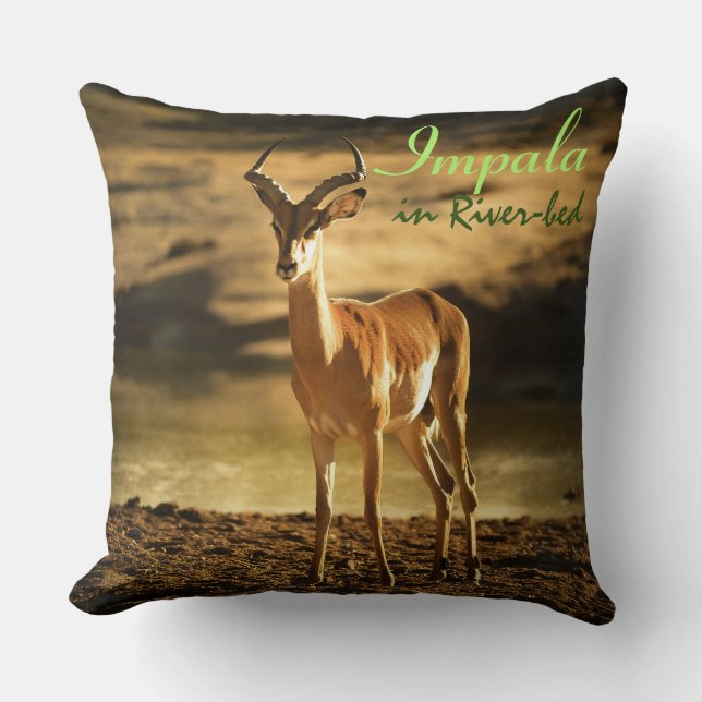 Afrikaanse impala in de rivierbedding kussen (Voorkant)