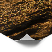 Afrikaanse impala in de rivierbedding poster (Hoek)