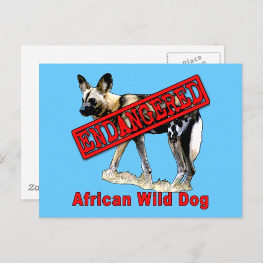 Afrikaanse in het wild levende honden bedreigde di briefkaart (Voorkant / Achterkant)