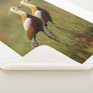 Afrikaanse Jacana Vogeldeken Sherpa Deken