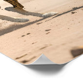 Afrikaanse jacht op wilde honden poster (Hoek)