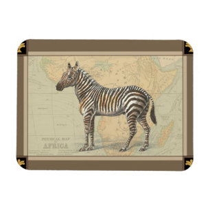 Afrikaanse kaart en een Zebra Magneet