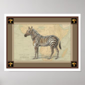 Afrikaanse kaart en een Zebra Poster (Voorkant)