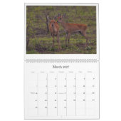 Afrikaanse kalender voor wilde dieren (Mar 2027)
