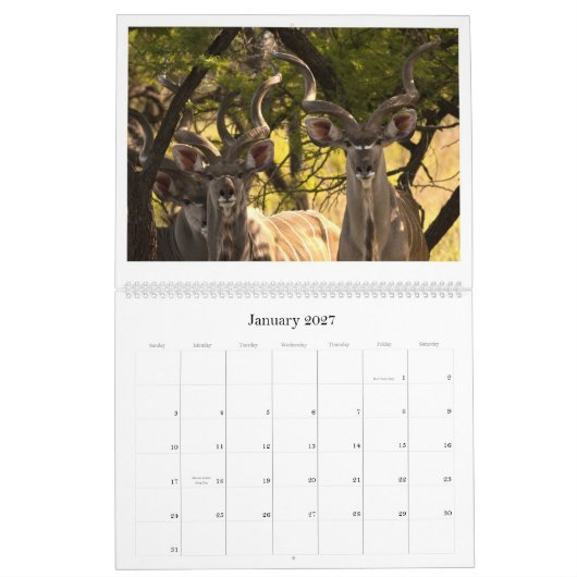 Afrikaanse kalender voor wilde dieren (Jan 2027)