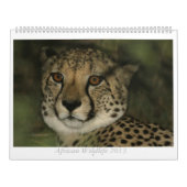 Afrikaanse kalender voor wilde dieren (Hoes)