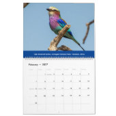 Afrikaanse kalender voor wilde dieren (Feb 2027)