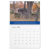 Afrikaanse kalender voor wilde dieren (Jan 2026)