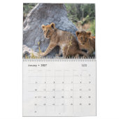 Afrikaanse kalender voor wilde dieren (Jan 2027)