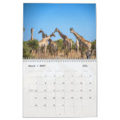 Afrikaanse kalender voor wilde dieren (Mar 2027)