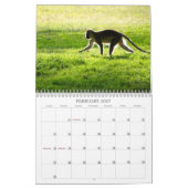Afrikaanse kalender voor wilde dieren 2013 (Feb 2027)