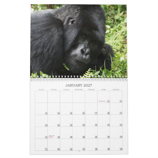 Afrikaanse kalender voor wilde dieren 2013 (Jan 2027)