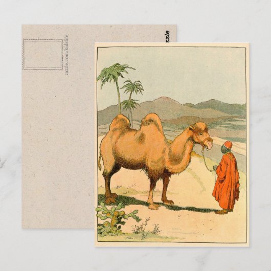 Afrikaanse kamel- en woestijnreiziger briefkaart (Voorkant / Achterkant)