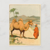 Afrikaanse kamel- en woestijnreiziger briefkaart (Voorkant)