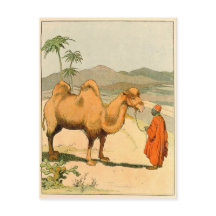 Afrikaanse kamel- en woestijnreiziger