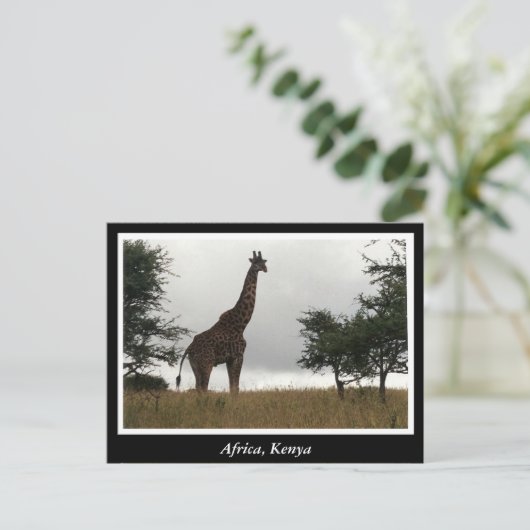 Afrikaanse Kenia: wilde dieren Briefkaart (Staand voorkant)