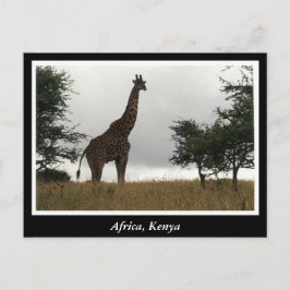 Afrikaanse Kenia: wilde dieren Briefkaart