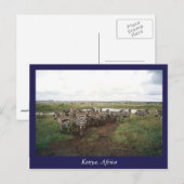 Afrikaanse Kenia: wilde dieren Briefkaart (Voorkant / Achterkant)
