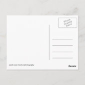 Afrikaanse Kenia: wilde dieren Briefkaart (Achterkant)