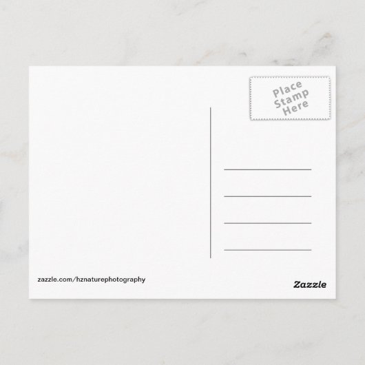 Afrikaanse Kenia: wilde dieren Briefkaart (Achterkant)