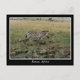 Afrikaanse Kenia: wilde dieren Briefkaart