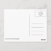 Afrikaanse Kenia: wilde dieren Briefkaart (Achterkant)