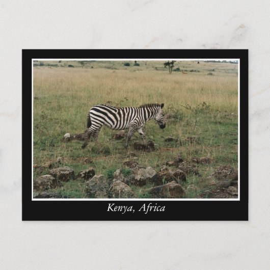 Afrikaanse Kenia: wilde dieren Briefkaart (Voorkant)