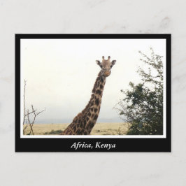 Afrikaanse Kenia: wilde dieren Briefkaart