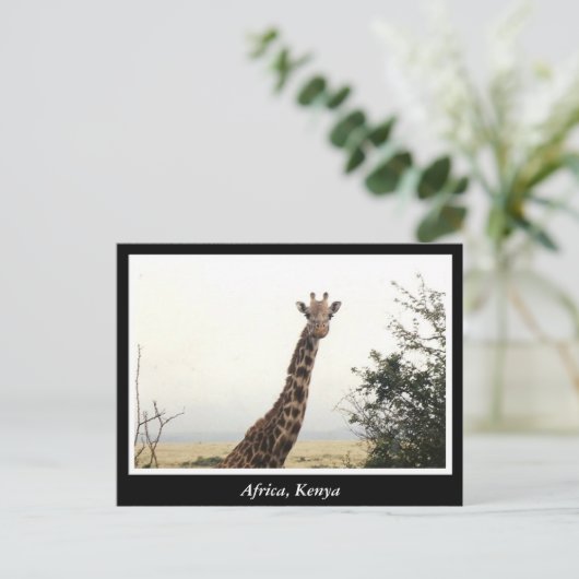 Afrikaanse Kenia: wilde dieren Briefkaart (Staand voorkant)