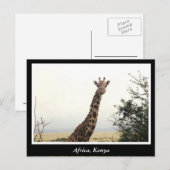 Afrikaanse Kenia: wilde dieren Briefkaart (Voorkant / Achterkant)
