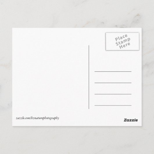 Afrikaanse Kenia: wilde dieren Briefkaart (Achterkant)