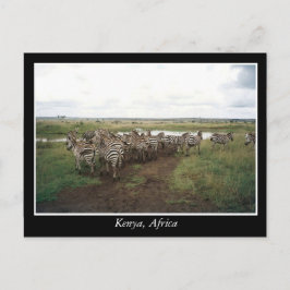 Afrikaanse Kenia: wilde dieren Briefkaart