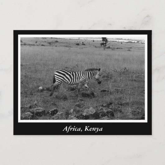 Afrikaanse Kenia: wilde dieren Briefkaart (Voorkant)