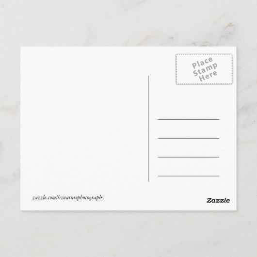 Afrikaanse Kenia: wilde dieren Briefkaart (Achterkant)