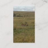Afrikaanse Kenia: wilde dieren Visitekaartje (Achterkant)