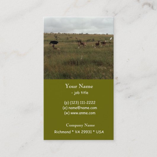 Afrikaanse Kenia: wilde dieren Visitekaartje (Voorkant)