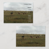 Afrikaanse Kenia: wilde dieren Visitekaartje (Voorkant / Achterkant)