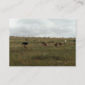 Afrikaanse Kenia: wilde dieren Visitekaartje (Achterkant)