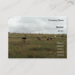 Afrikaanse Kenia: wilde dieren Visitekaartje