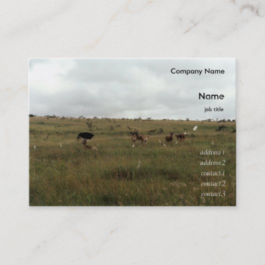 Afrikaanse Kenia: wilde dieren Visitekaartje (Voorkant)