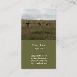 Afrikaanse Kenia: wilde dieren Visitekaartje