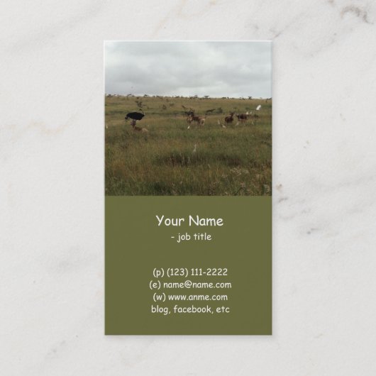 Afrikaanse Kenia: wilde dieren Visitekaartje (Voorkant)