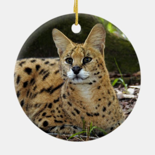 Afrikaanse kerstversiering keramisch ornament (Achterkant)