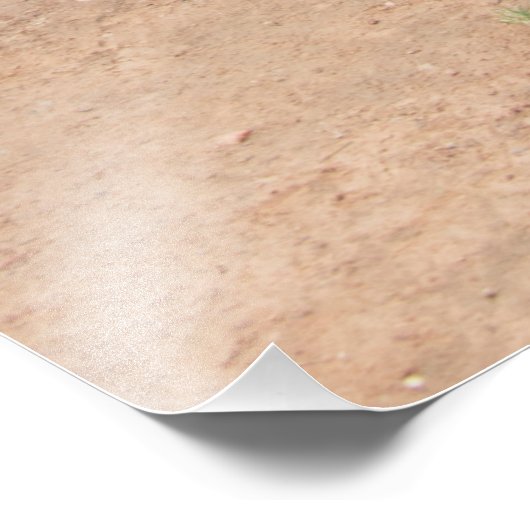 Afrikaanse kinderen foto afdruk (Hoek)