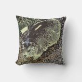 Afrikaanse Klipdas ontspant op rots Kussen (Voorkant)