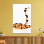 Afrikaanse koraalslang (Aspidelaps lubricus) Canvas Afdruk (Insitu (Woonkamer))