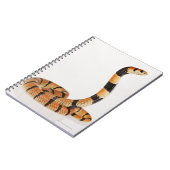 Afrikaanse koraalslang (Aspidelaps lubricus) Notitieboek (Linkerzijde)